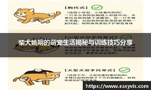 柴犬姚明的萌宠生活揭秘与训练技巧分享