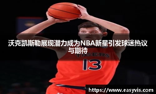 多多28