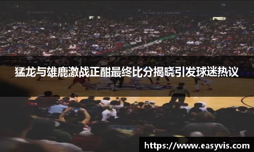 多多28