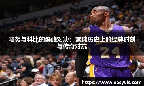 多多28网址