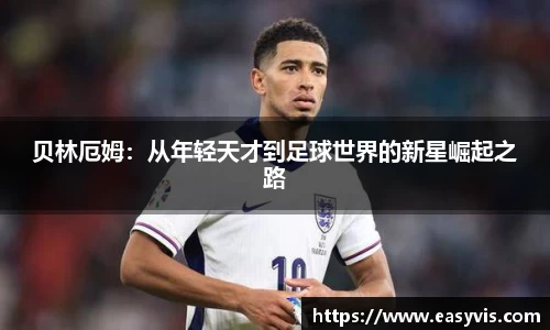 多多28官网